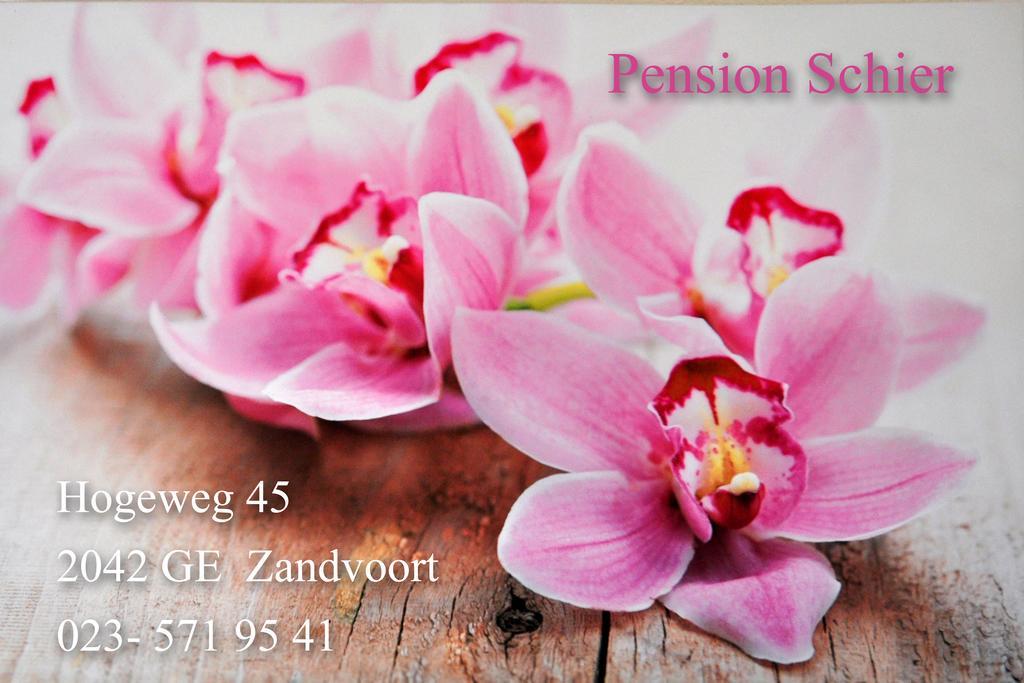 Pension Schier Zandvoort Εξωτερικό φωτογραφία