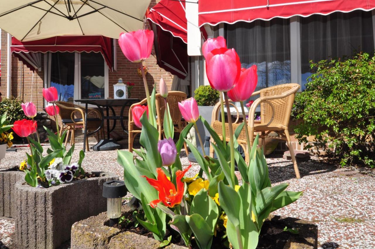 Pension Schier Zandvoort Εξωτερικό φωτογραφία
